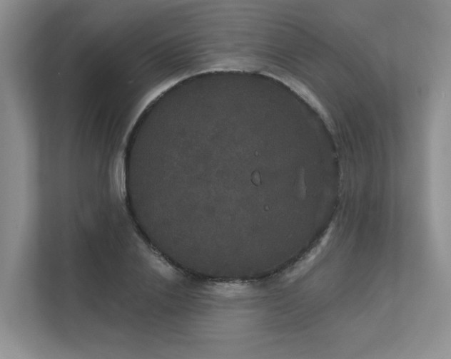 X0000111520838200907211222