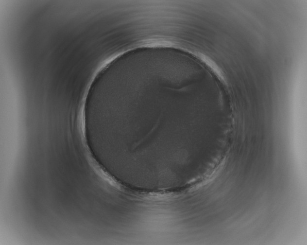 X0000111520840200907211222
