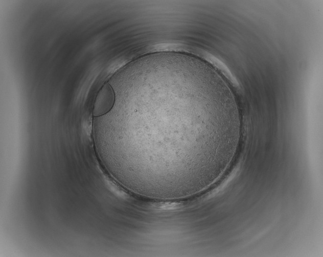 X0000111520841200907211222