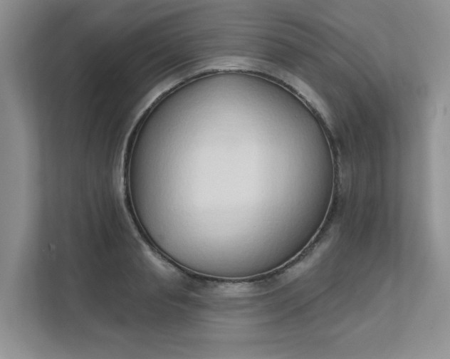 X0000111520845200907211222