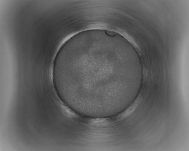 X0000111520846200907211222