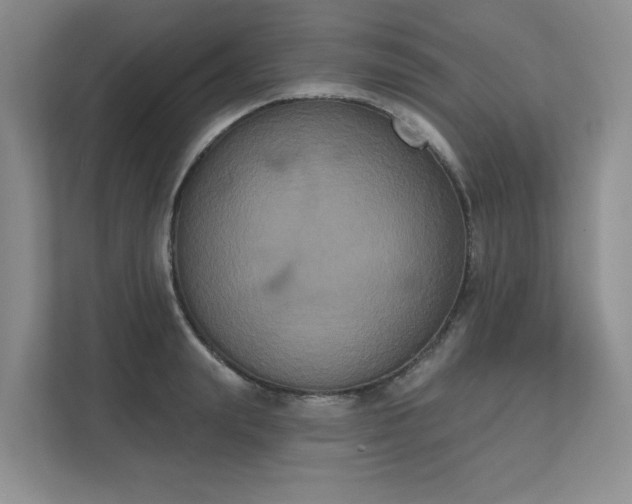 X0000111520847200907211222