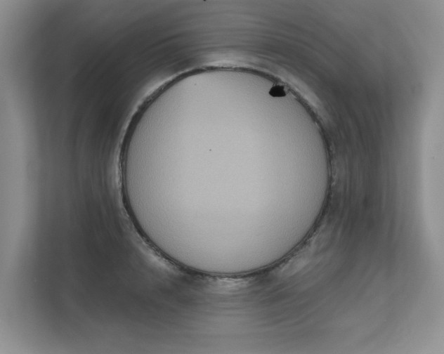 X0000111520848200907211222