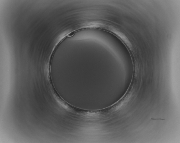 X0000111520850200907211223