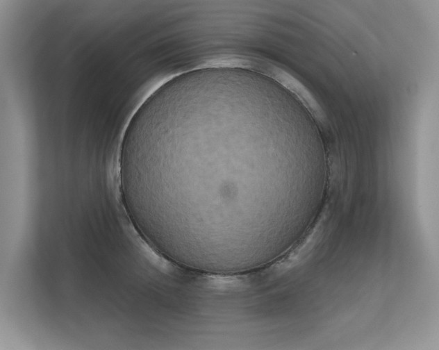 X0000111520852200907211223