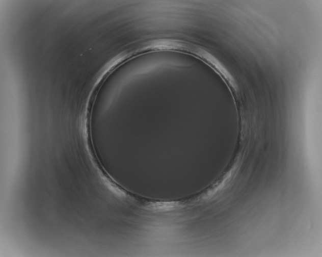 X0000111520853200907211223