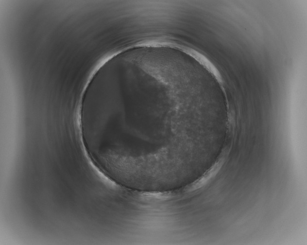 X0000111520855200907211223