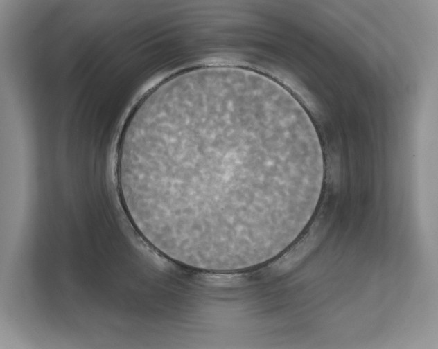 X0000111520856200907211223