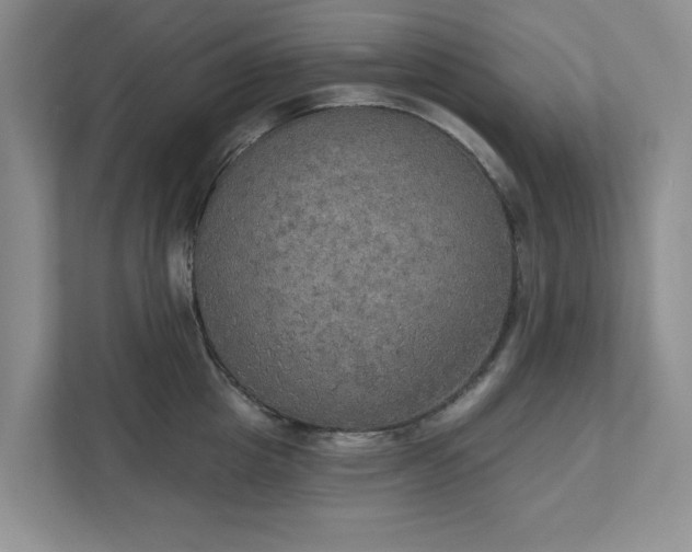 X0000111520857200907211223