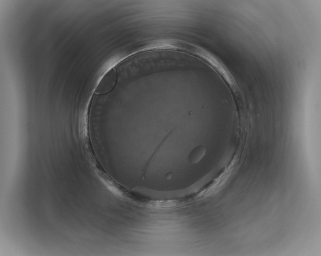 X0000111520858200907211223
