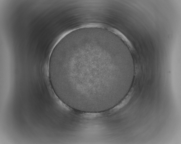 X0000111520860200907211223