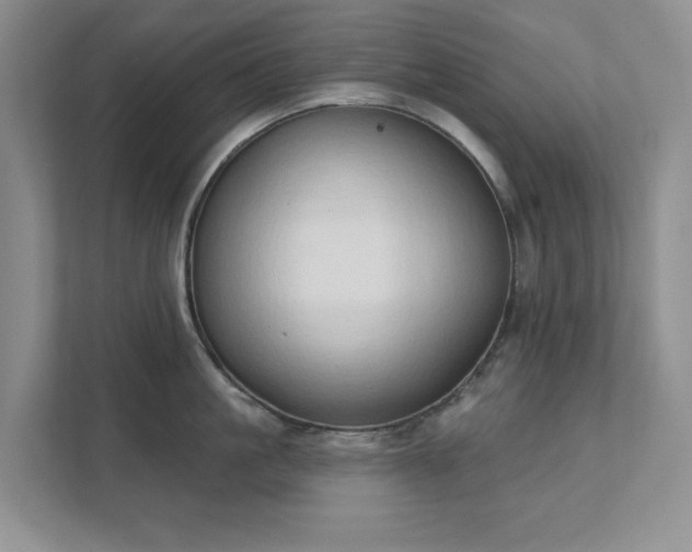 X0000111520861200907211223