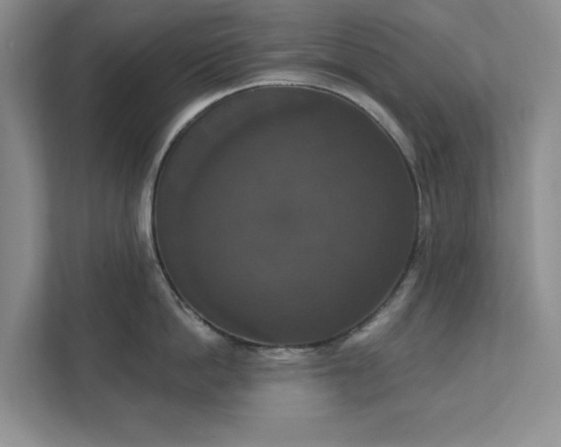 X0000111520862200907211223