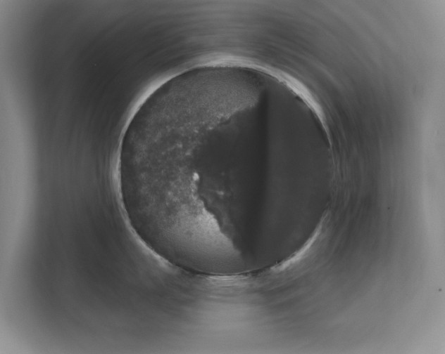 X0000111520863200907211223