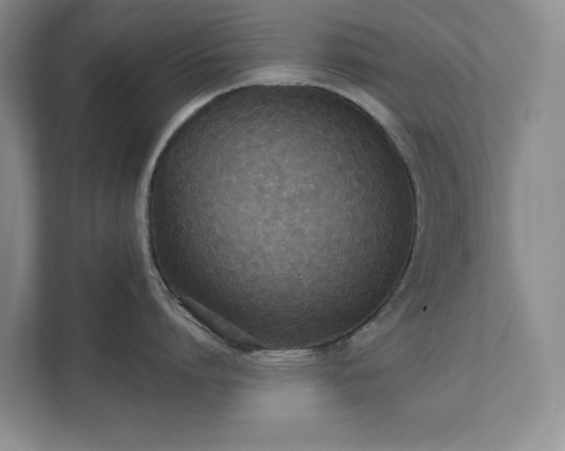 X0000111520864200907211223