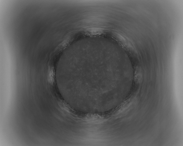 X0000111520866200907211222