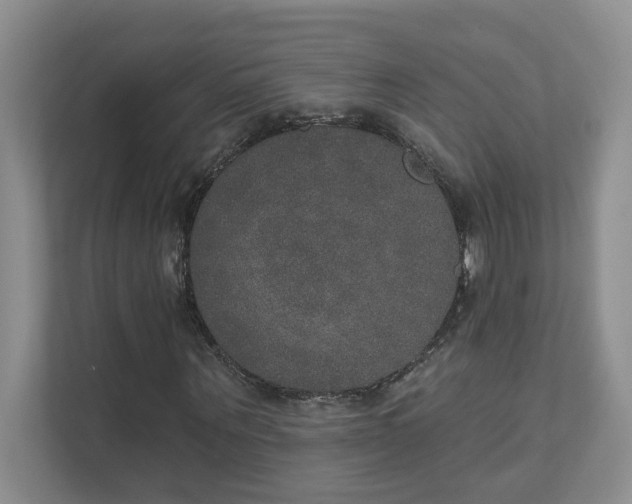 X0000111520867200907211222