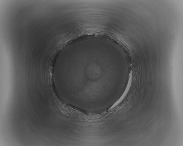 X0000111520868200907211222