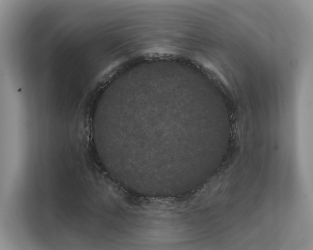 X0000111520870200907211222