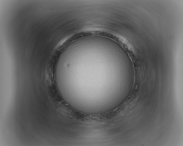 X0000111520871200907211222