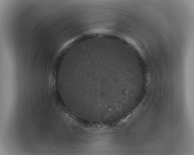 X0000111520872200907211222