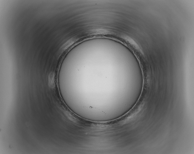 X0000111520873200907211222