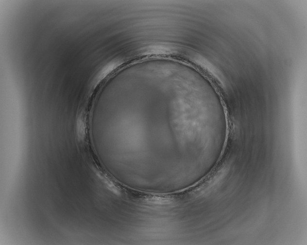 X0000111520874200907211222