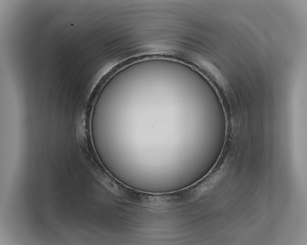 X0000111520875200907211222