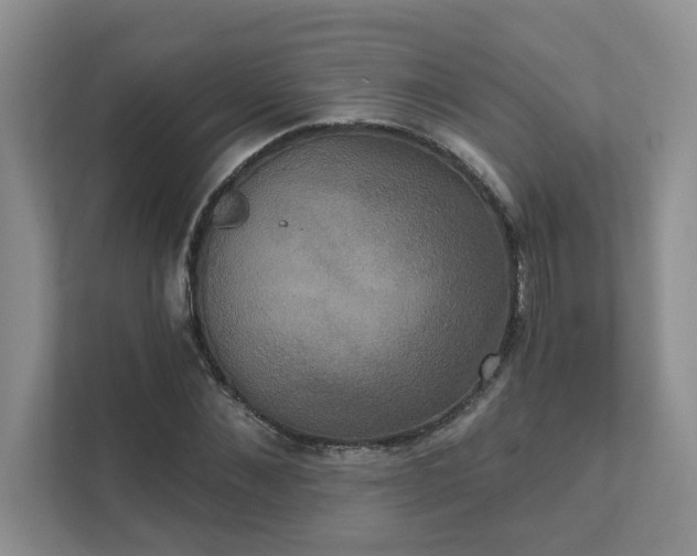 X0000111520876200907211222