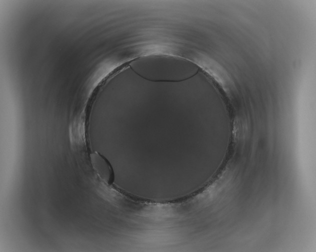 X0000111520877200907211222