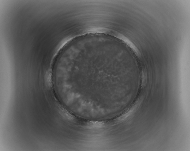 X0000111520878200907211222