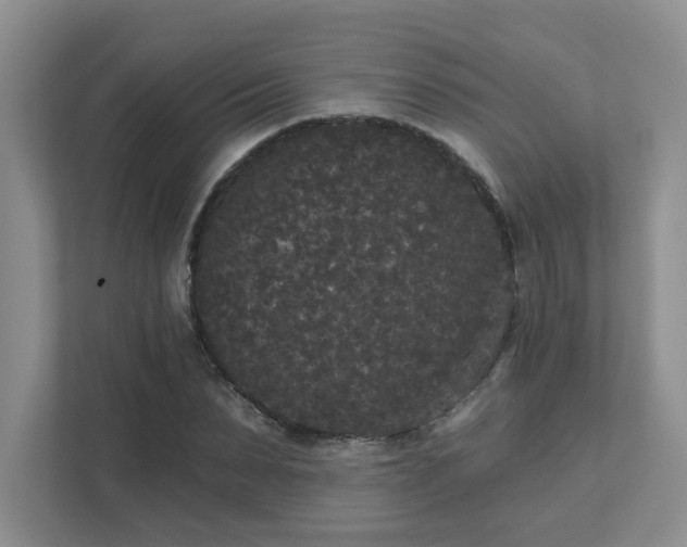 X0000111520879200907211222