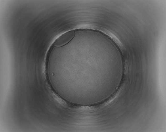 X0000111520880200907211222