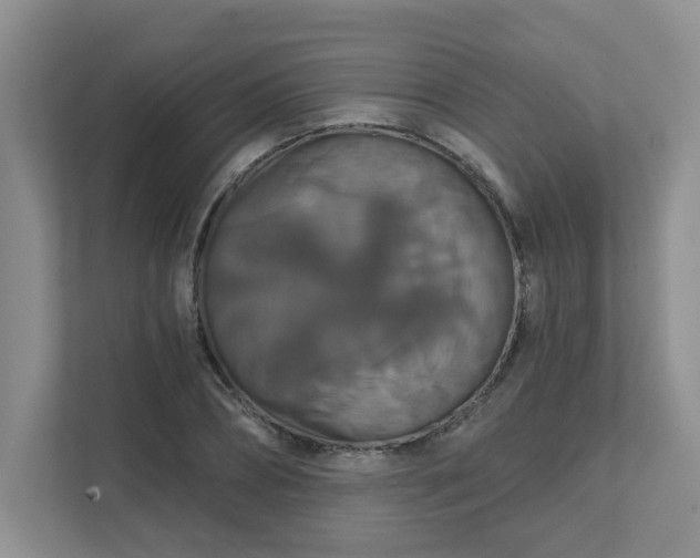 X0000111520882200907211222