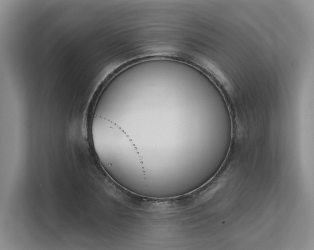 X0000111520883200907211222
