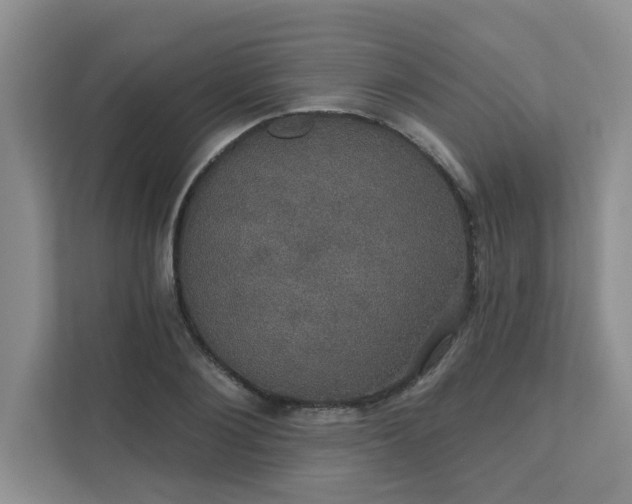X0000111520884200907211222
