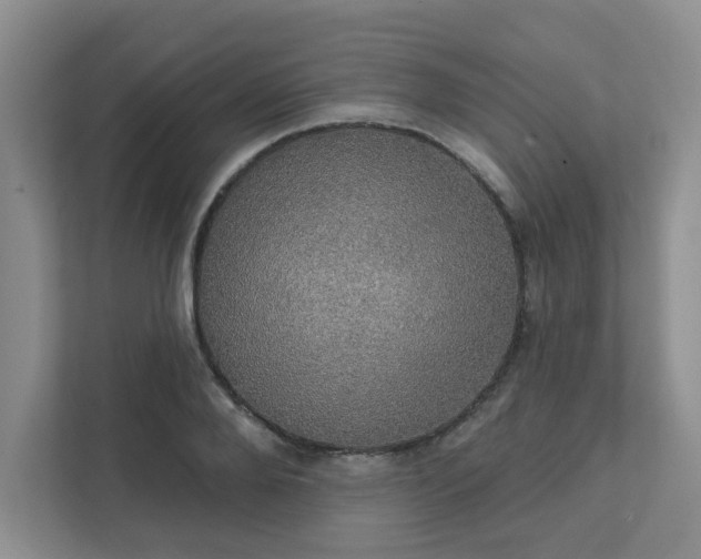 X0000111520888200907211222
