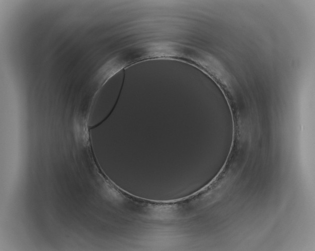 X0000111520889200907211222