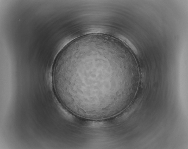 X0000111520890200907211222