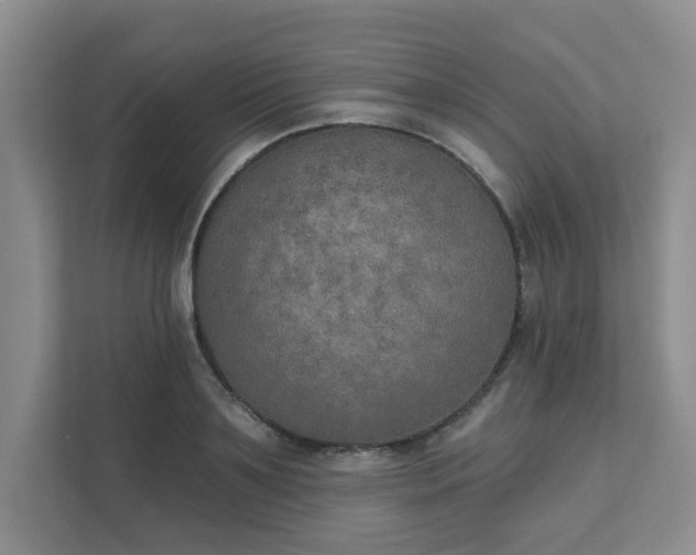 X0000111520891200907211222
