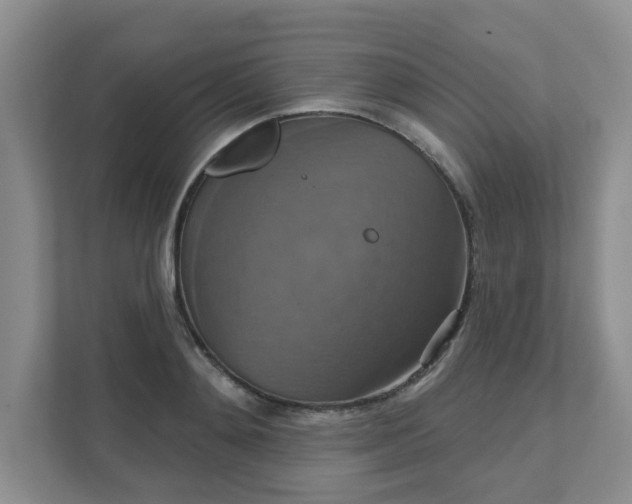 X0000111520892200907211222