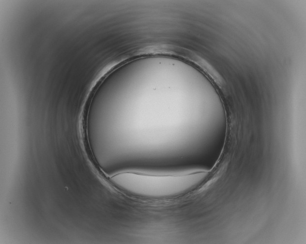 X0000111520893200907211222