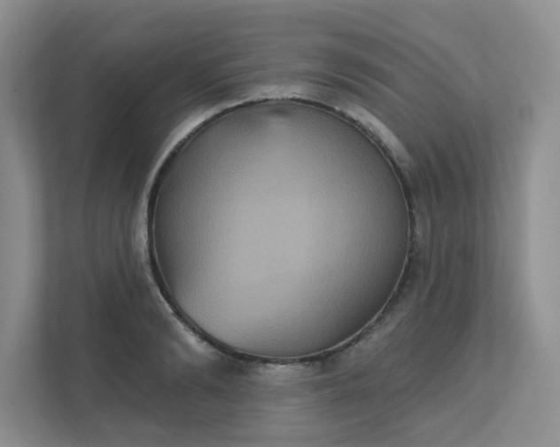 X0000111520894200907211222