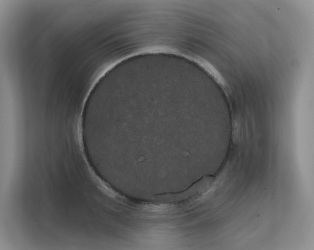 X0000111520895200907211221