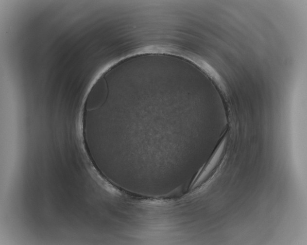 X0000111520896200907211221