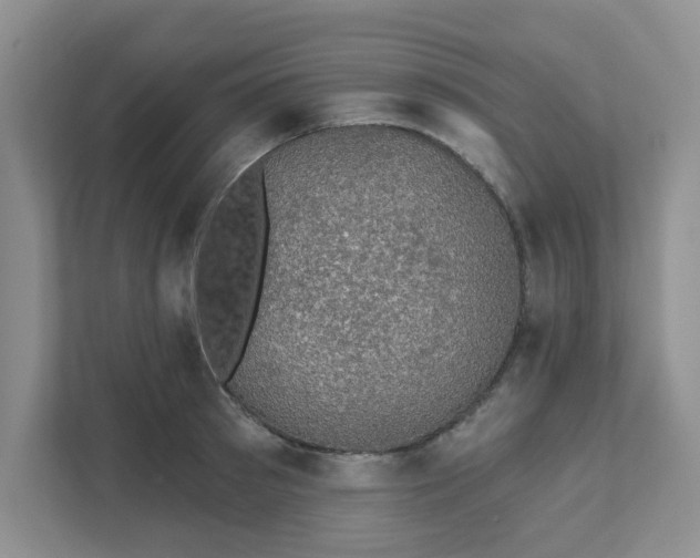 X0000111520897200907211221