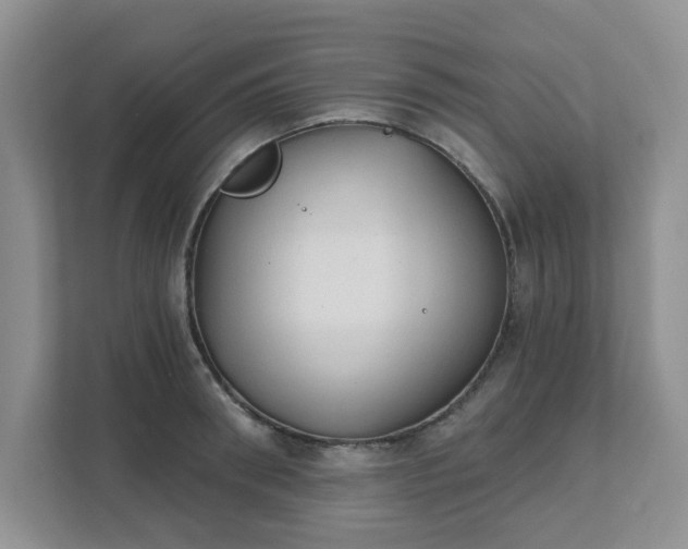 X0000111520898200907211221