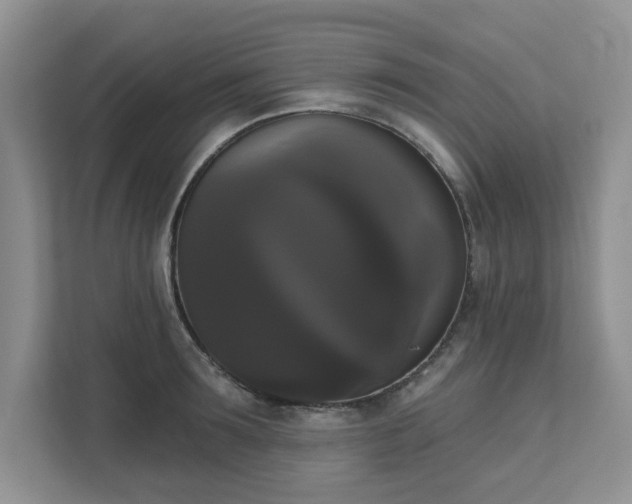 X0000111520899200907211221