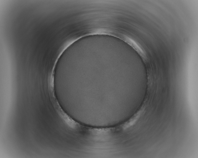 X0000111520900200907211221