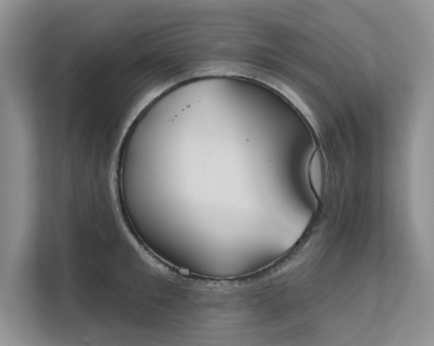 X0000111520901200907211221